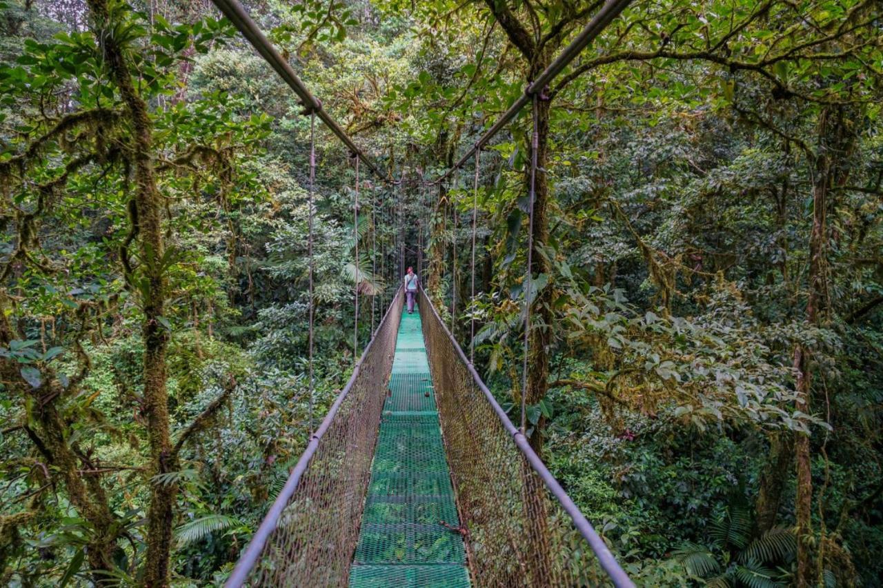 Heliconias Rainforest Lodge Бихагуа Екстериор снимка