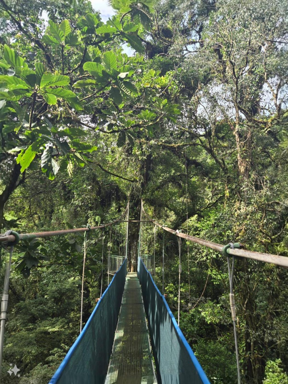 Heliconias Rainforest Lodge Бихагуа Екстериор снимка