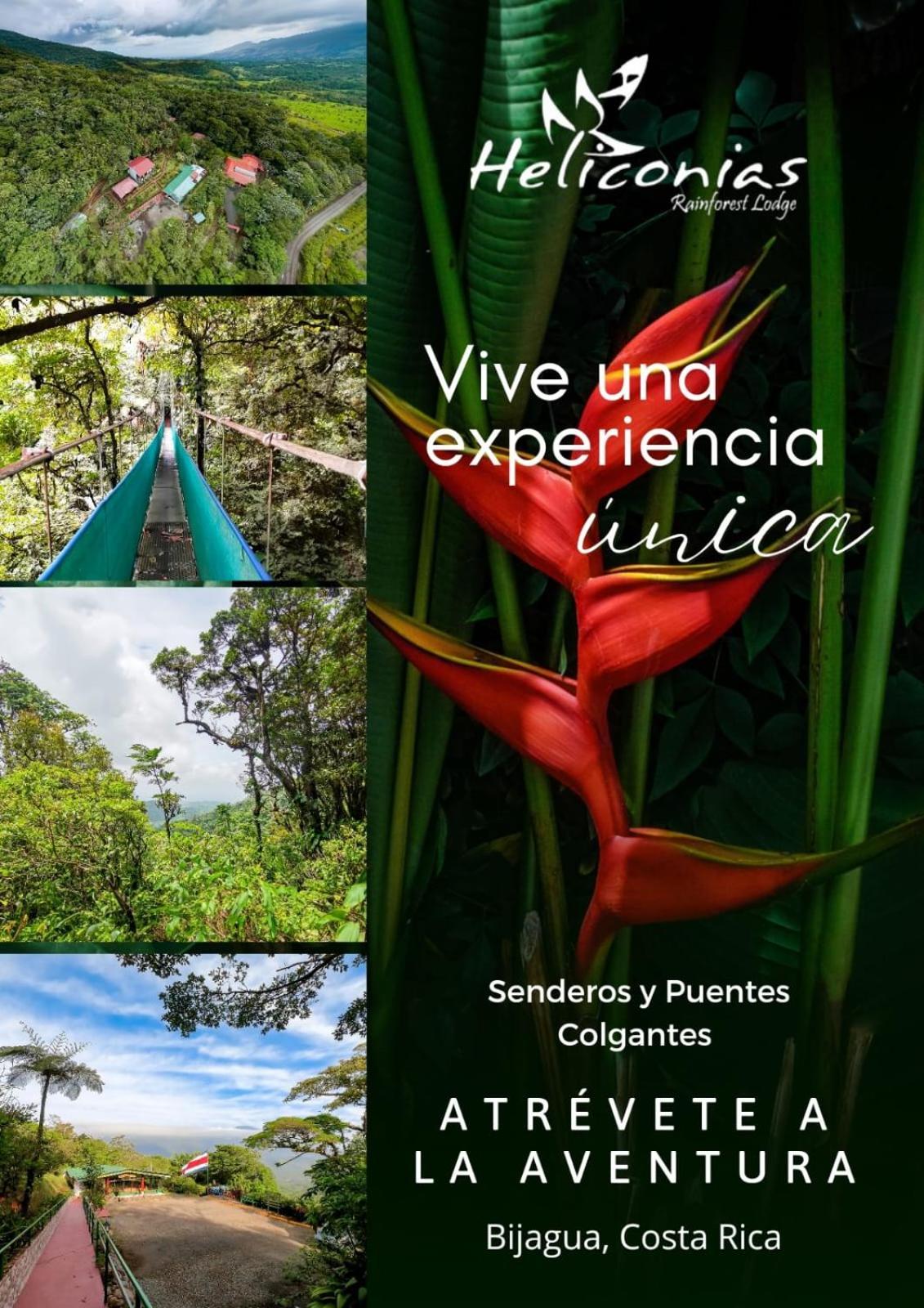 Heliconias Rainforest Lodge Бихагуа Екстериор снимка