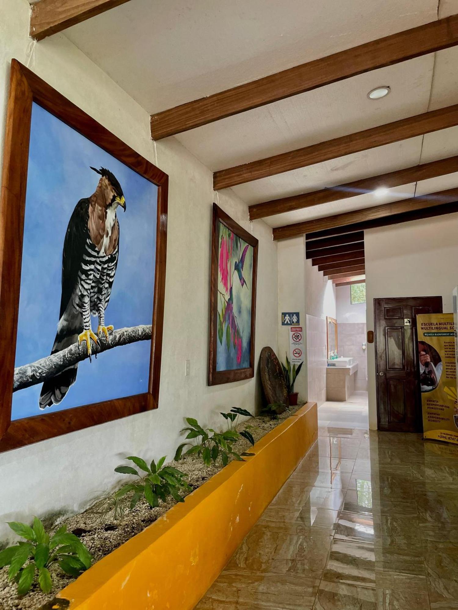 Heliconias Rainforest Lodge Бихагуа Екстериор снимка