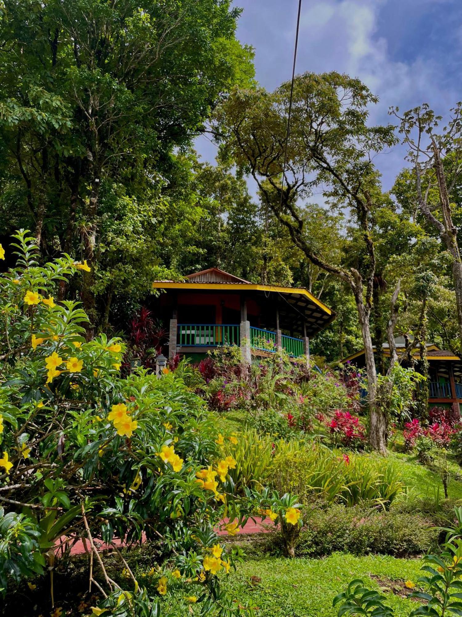 Heliconias Rainforest Lodge Бихагуа Екстериор снимка
