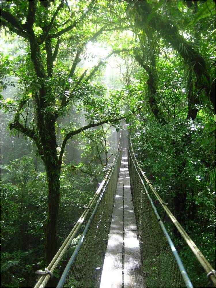 Heliconias Rainforest Lodge Бихагуа Екстериор снимка