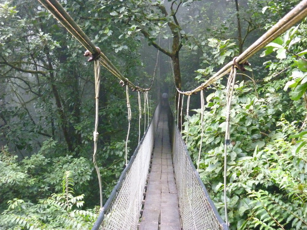 Heliconias Rainforest Lodge Бихагуа Екстериор снимка